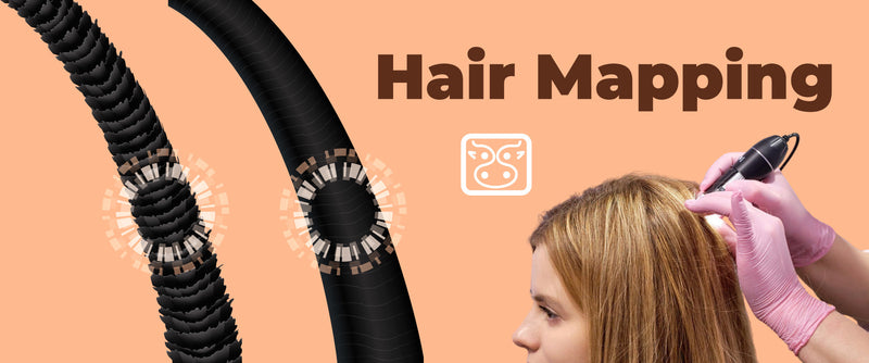 Cuidado Capilar Personalizado: ¿Qué es el "Hair Mapping" y por qué es tendencia?