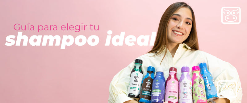 Guía para elegir tu shampoo ideal