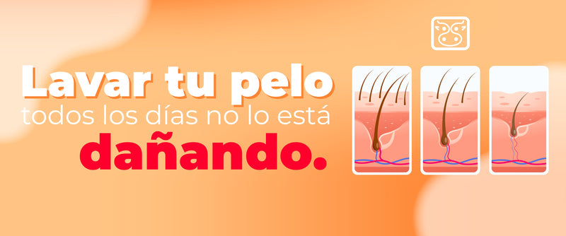 Lavar tu pelo todos los días no lo está dañando.El problema puede ser no lavarlo bien.